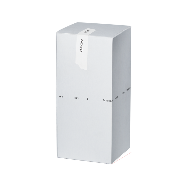 フレグランスリードディフューザー レフィル - CAZABIA(カザビア) -